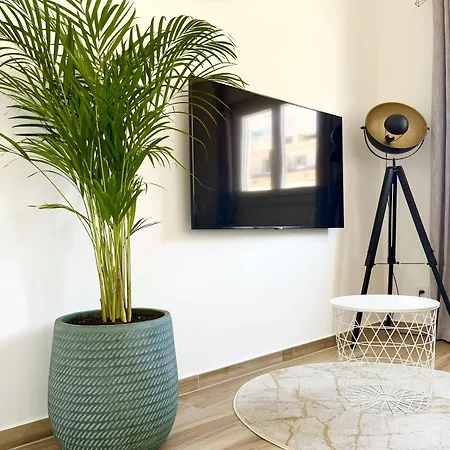 Duplex Centre - 50m De La - Clim - Garage - Netflix Apartment